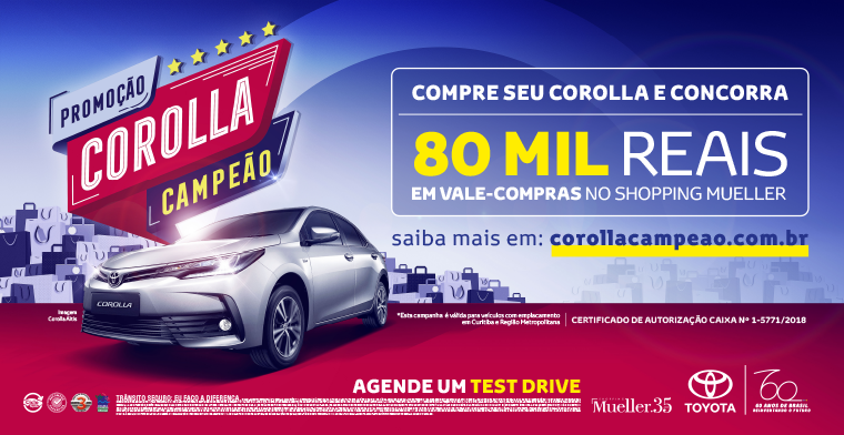armarolli-toyota-do-brasil-numeros